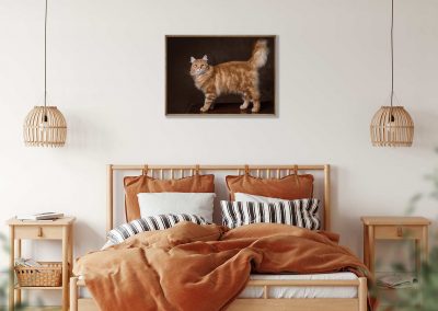 Why chose Purrfect Pawtraits