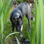 studio tips to looking good