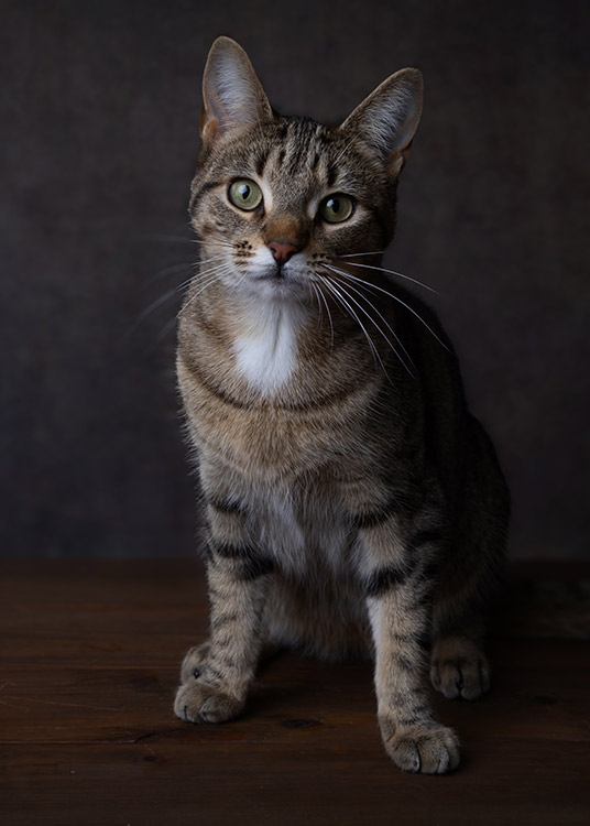 Mia